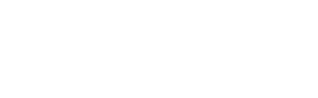 Shauna Heron // Wedding Photojournalist